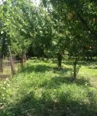 Vendita Agricolo in via Malatesta