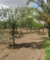 Vendita Agricolo da 2000mq