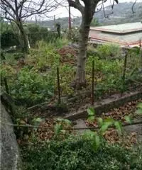 Vendita Multilocale in Via Torricella