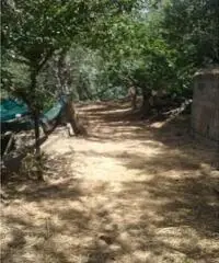 Vendita Agricolo in Largo Vescovado