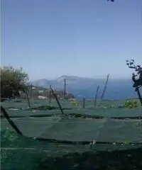 Vendita Agricolo in Largo Vescovado