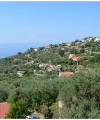 Vendita Multilocale in via monticello