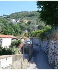 Vendita Multilocale in via monticello