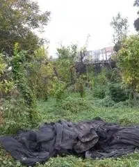 Vendita Agricolo in Via Mortella