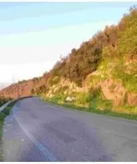 Vendita Agricolo in via IV Novembre