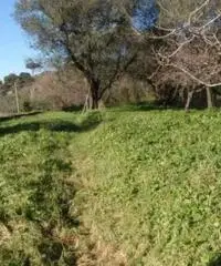 Vendita Immobile da 55mq