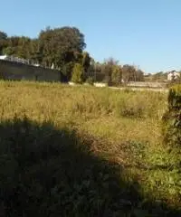 Affitto Agricolo in Via Spinelli