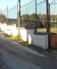 Affitto Agricolo in Via Spinelli