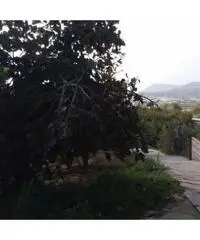 Vendita Edificabile residenziale in Via Marmolito