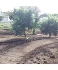 Vendita Edificabile residenziale in Via Marmolito