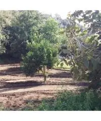 Vendita Edificabile residenziale in Via Marmolito