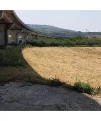Vendita Agricolo in Via Masullo