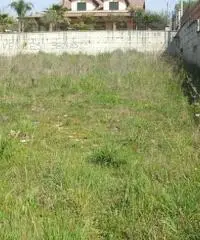 Vendita Agricolo in Via Pantaleo