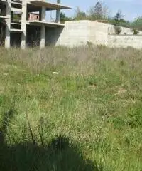 Vendita Agricolo in Via Pantaleo