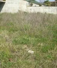 Vendita Agricolo in Via Pantaleo