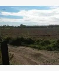 RifITI 024-tv 19 - Terreno Agricolo in Vendita a Giugliano in Campania di 1500 mq