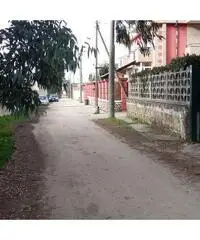 TERRENO AGRICOLO IN ZONA ABITATA