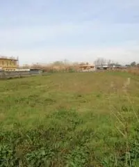 Lido Di Licola: Vendita Agricolo in Via Domitiana