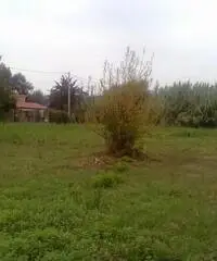 Vendita Agricolo da 3300mq