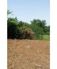 Monterusciello: Vendita Agricolo in Via Vicinale Canosa