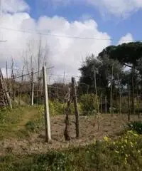 Vendita Immobile in Via Celle