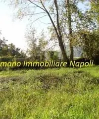 Arco Felice: Vendita Agricolo in Strada Provinciale Arco Felice Vecchio