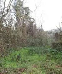 Monterusciello: Vendita Multilocale in Via Monterusciello