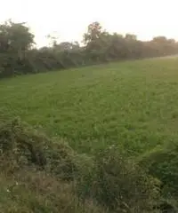 Lido Di Licola: Vendita Agricolo in Via Santa Maria Goretti