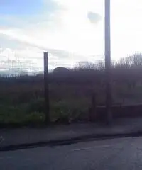 Guadagni: Vendita Agricolo in Via Aurora