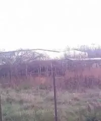 Guadagni: Vendita Agricolo in Via Aurora