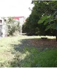 Vendita Immobile in Via Marchesa