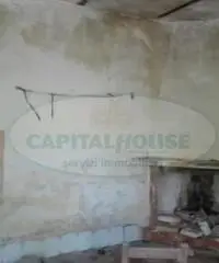 Vendita Agricolo in località pendelle