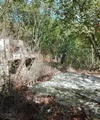 Vendita Agricolo in località pendelle