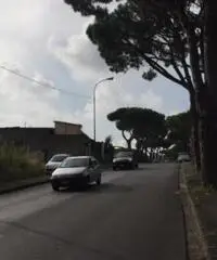 Affitto Agricolo in Via Sacerdote Cozzolino Benedetto, 0