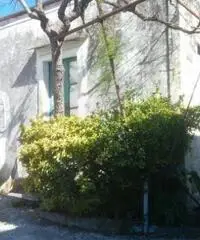 Vendita Monolocale in via villanova