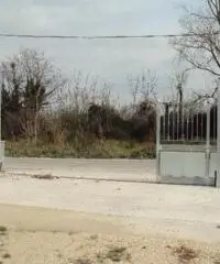 Affitto Agricolo in Via Pomigliano