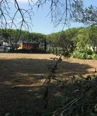 Romani: Vendita Immobile da 8000mq