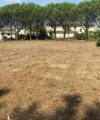 Romani: Vendita Immobile da 8000mq