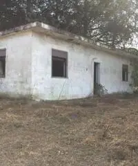 Romani: Vendita Immobile da 8000mq