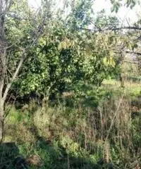 Vendita Edificabile residenziale da 900mq