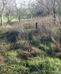 Vendita Edificabile residenziale da 900mq