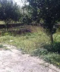 Rudere Saviano  con giardino