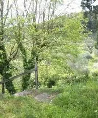 Vendita Agricolo in Via San Martino Malacoccola