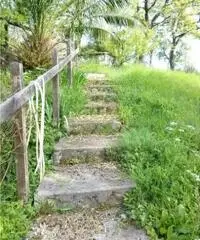 Vendita Agricolo in Via San Martino Malacoccola