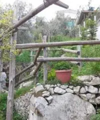 Vendita Agricolo in Via Campitiello