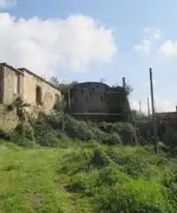 Fusaro: Vendita Multilocale in Traversa I Fusaro