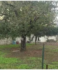 RifITI 019-21566 - Terreno Agricolo in Vendita a Marano di Napoli di 1200 mq