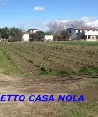 Vendita Agricolo in Via Camillo Cucca