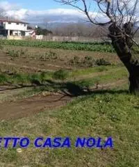 Vendita Agricolo in Via Camillo Cucca