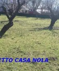 Vendita Agricolo in Via Camillo Cucca